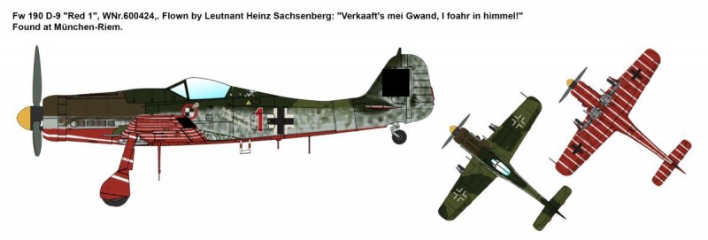 Platzschutzstaffel JV 44 Fw 190D-9 & Fw 190D-11
